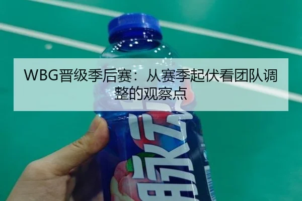 WBG晋级季后赛：从赛季起伏看团队调整的观察点